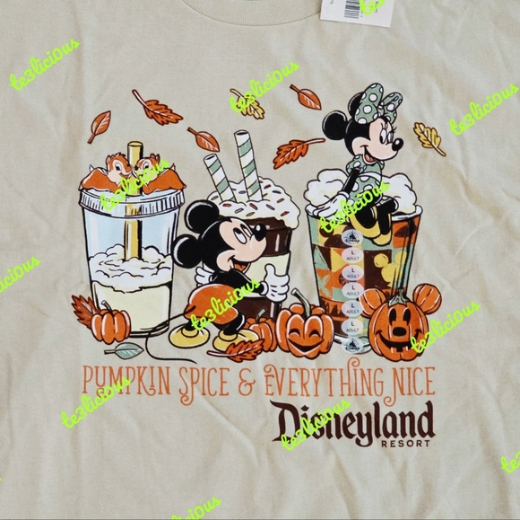 DISNEYLAND MICKEY MINNIE PUMPKIN SPICE AND EVERYTHING NICE CREAM T-SHIRT - Picture 2 of 2